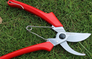 cbn grinding wheel for for garden scissors
